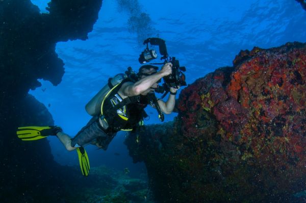 La plongée sous-marine, une pratique écologique ?