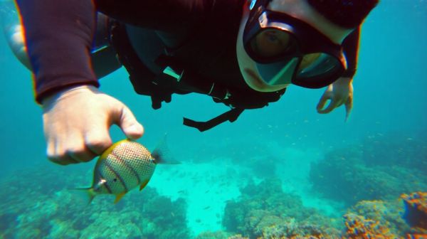 Top conseils pour exceller en plongée sous-marine